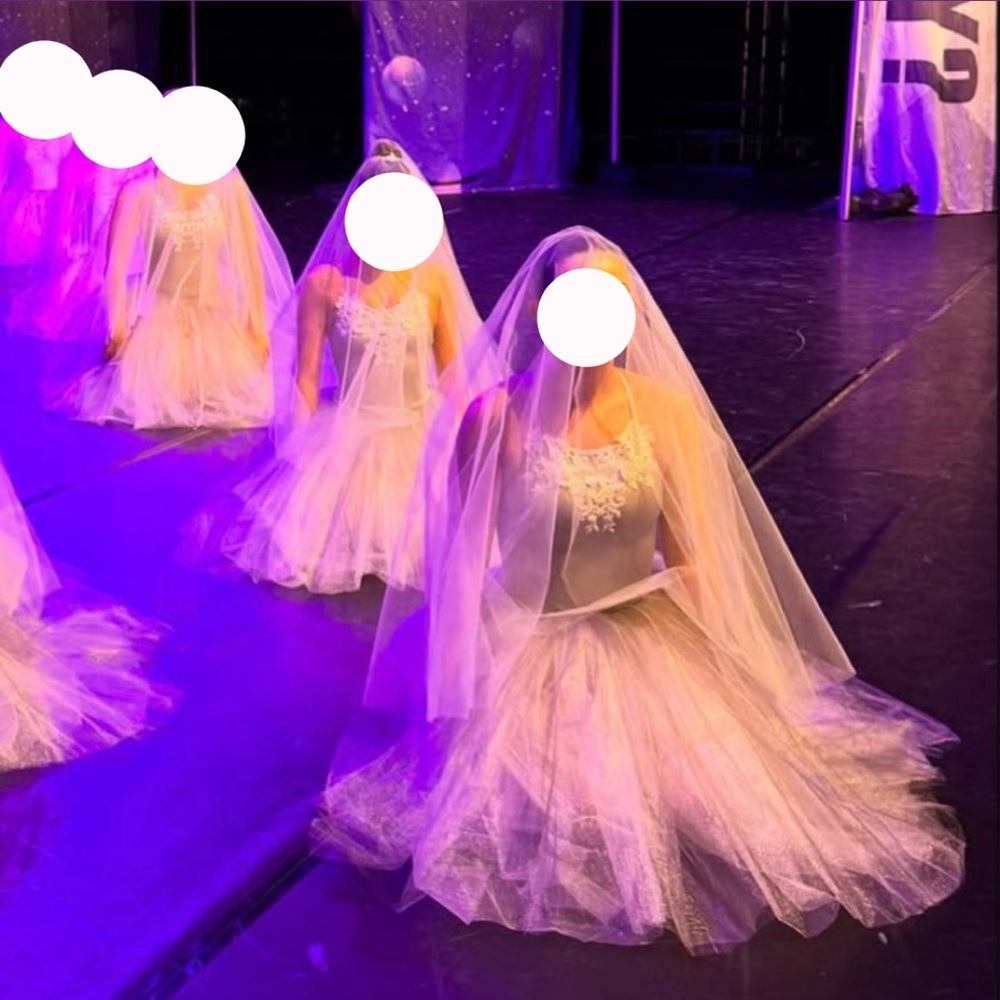 Custom Grey Tutu W/ Veil Ballet Dance Costume
